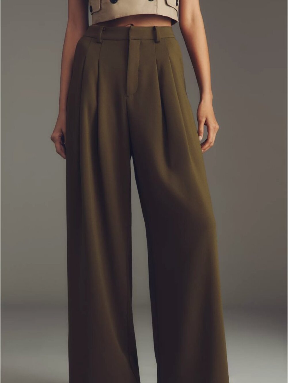 Anthropologie NWT Avery Wide-Leg Pleated Trousers by Maeve - S - Picture 2 of 11